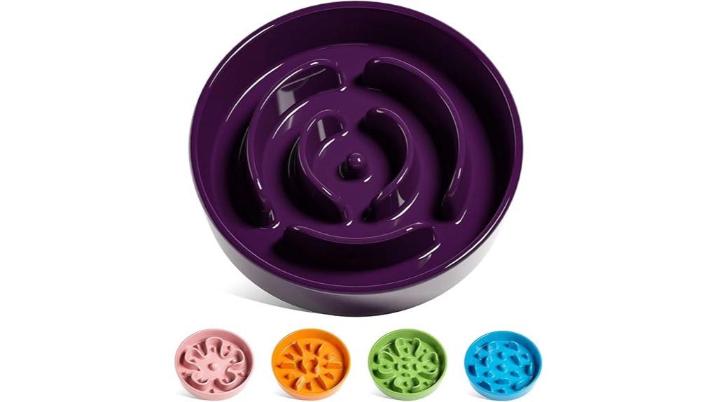 ceramic slow feeding bowl