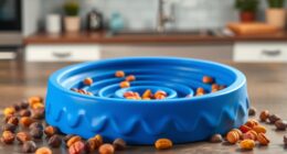 dog food slow feeders