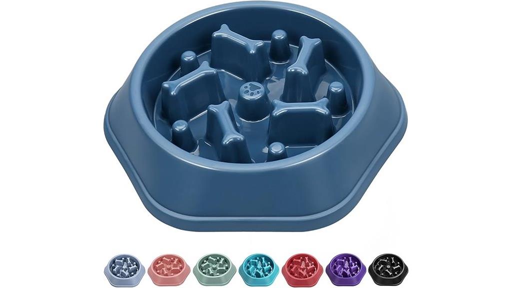 elevated small dog bowl