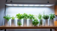 indoor herb garden kits