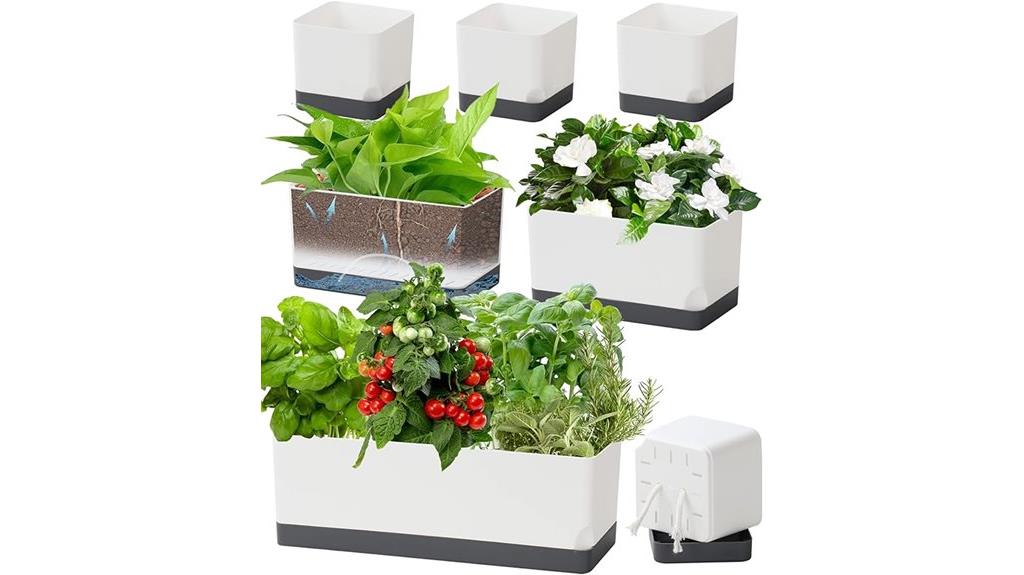 indoor plant watering system
