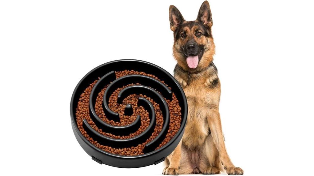 slow feeder dog bowl