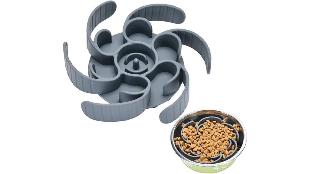 slow feeding dog bowl