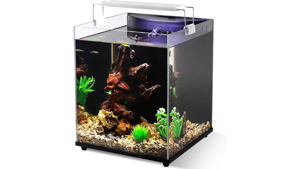 small aquarium beginner set