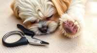 small dog nail clipper options