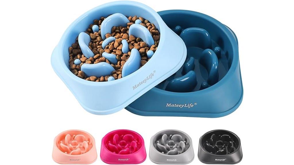 two slow feed dog bowls