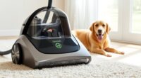 top pet carpet cleaners