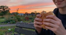 immediate gratification hinders progress