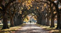 perception of accelerated aging