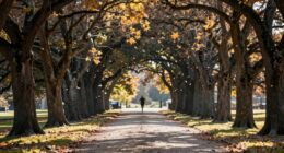 perception of accelerated aging