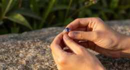 7 Sustainable Sapphire Diamond Rings (2026)